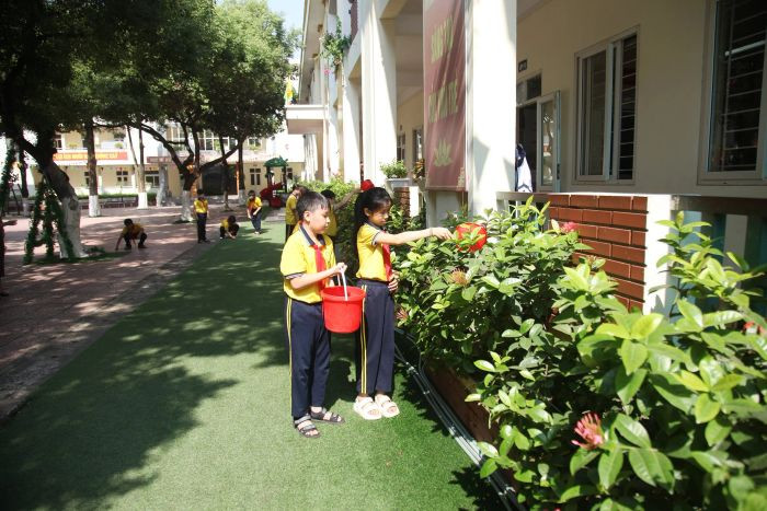 Học sinh hăng hái tham gia hoạt động trồng cây, một trong những hình ảnh về bảo vệ môi trường mang lại hy vọng