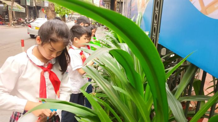 Học sinh tưới cây trong lớp học, tạo nên những hình ảnh về bảo vệ môi trường sáng tạo