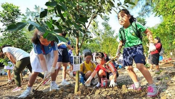 Học sinh vun trồng cây xanh tại trường, góp phần kiến tạo không gian xanh