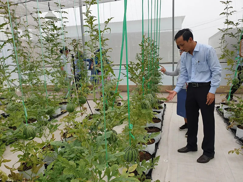 Khu vườn sinh thái tại bãi rác Đông Thạnh