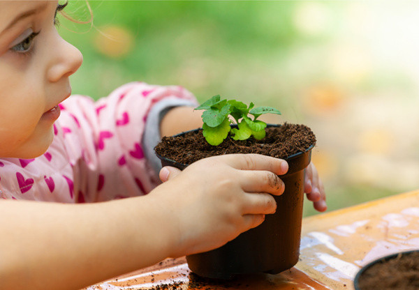 Khuyến khích trẻ sử dụng các sản phẩm thân thiện từ tự nhiên để bảo vệ hành tinh