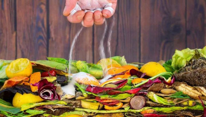 Kinh nghiệm thực tiễn giúp cách ủ rác nhà bếp đạt hiệu quả tối ưu