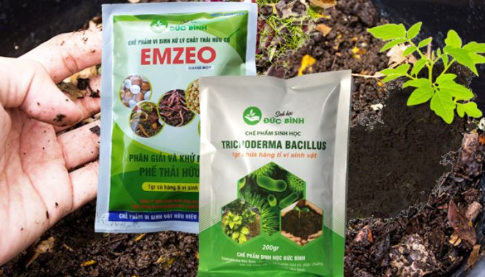 Kỹ thuật ủ rác nhà bếp sử dụng chế phẩm sinh học Emzeo đẩy nhanh phân hủy