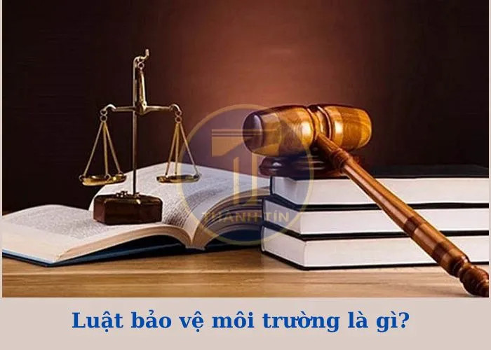 Luật bảo vệ môi trường là gì?