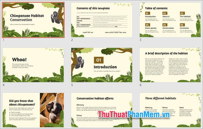 Mẫu PowerPoint về bảo tồn đa dạng sinh học và hệ sinh thái, với nền lá cây xanh tươi mát
