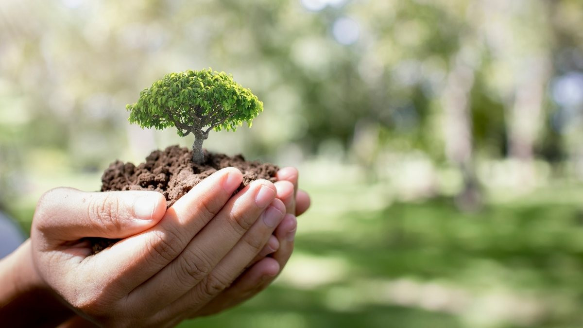 Một cô gái trẻ đang tưới cây xanh, biểu thị hành động chăm sóc thiên nhiên hàng ngày và góp phần vào nền bảo vệ môi trường.