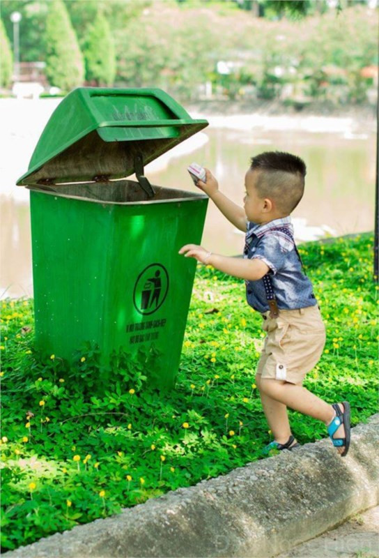 Một khu rừng xanh tươi với ánh nắng mặt trời chiếu qua tán cây, nhấn mạnh vai trò của việc trồng cây xanh trong các biện pháp bảo vệ môi trường