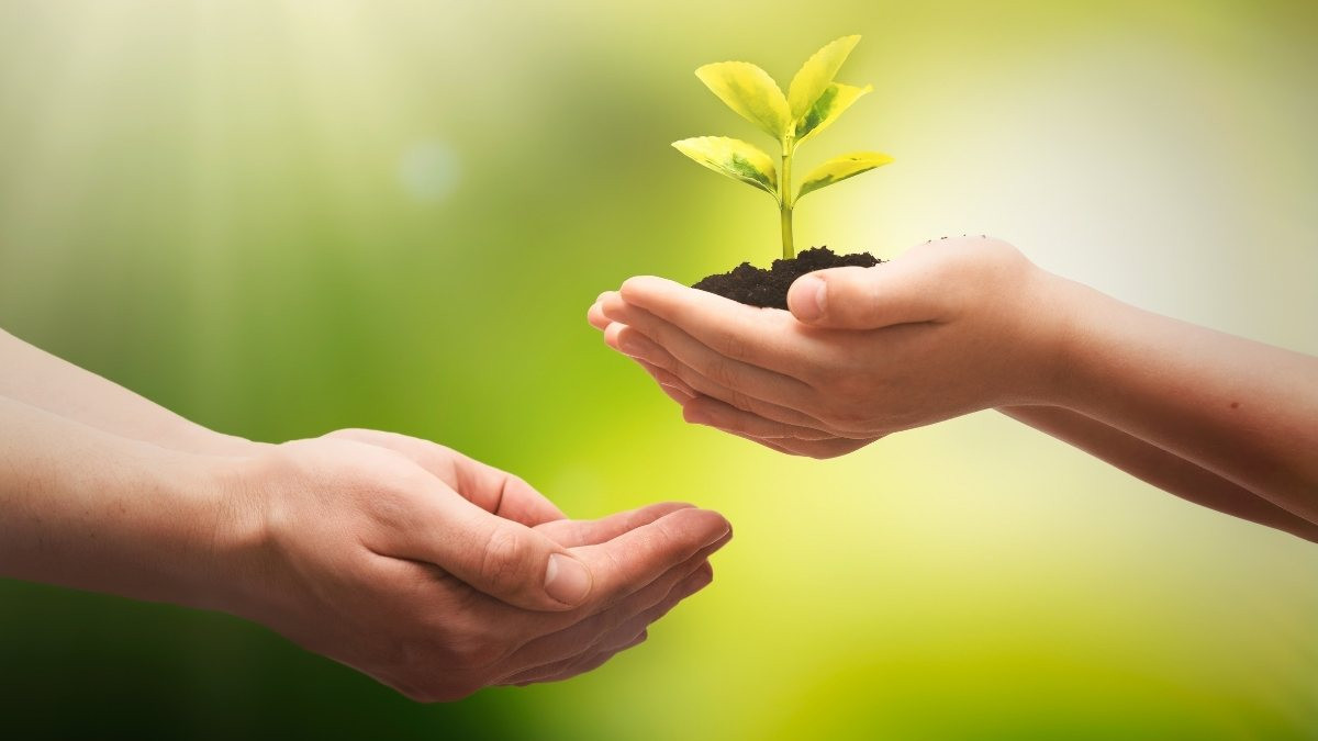 Một nhóm người đang cùng nhau thu gom rác thải, minh họa tinh thần đoàn kết và hành động vì nền bảo vệ môi trường.