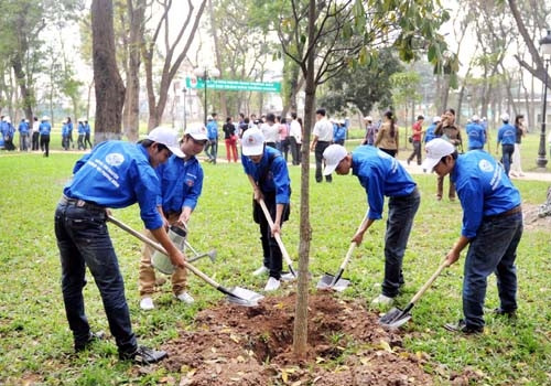 Một ổ cắm điện với phích cắm được rút ra, tượng trưng cho việc tiết kiệm năng lượng điện là một biện pháp bảo vệ môi trường