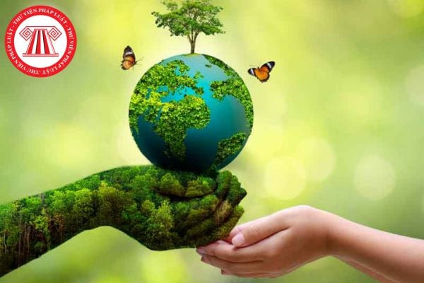 Một tổ chức bảo vệ môi trường Việt Nam đang làm việc tại hiện trường