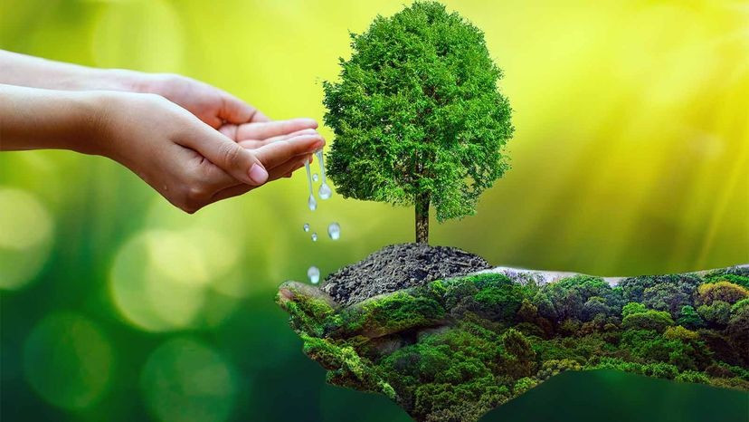 Một vùng biển tràn ngập rác thải nhựa, minh họa sự suy thoái môi trường nghiêm trọng và hậu quả của việc tiêu dùng quá mức.