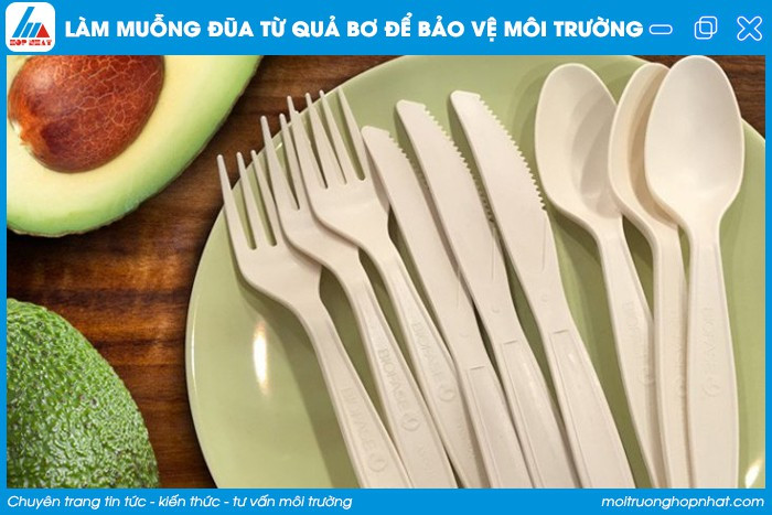 Muỗng và đũa làm từ hạt bơ, đại diện cho các ý tưởng sáng tạo bảo vệ môi trường từ vật liệu tự nhiên
