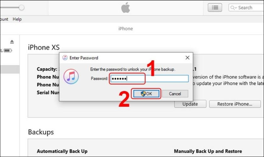 Nhập mật khẩu để mở khóa bản sao lưu iPhone trong iTunes và bắt đầu quá trình khôi phục dữ liệu