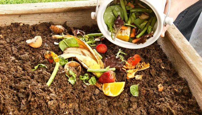 Những lợi ích toàn diện khi thực hiện cách ủ rác nhà bếp tại gia đình