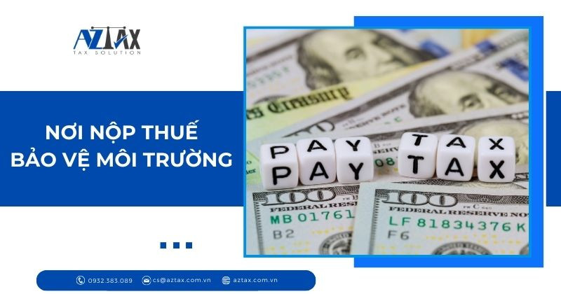 Nơi nộp thuế bảo vệ môi trường: Thông tin cần thiết để thực hiện Environmental Protection