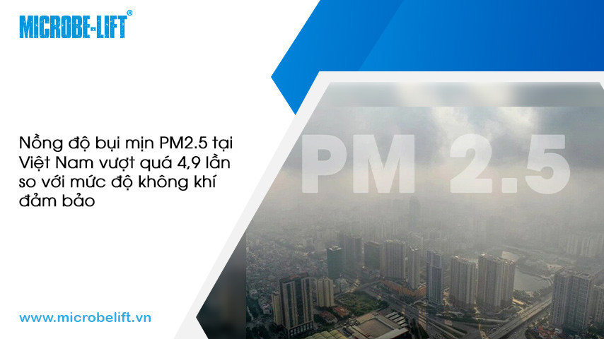 Nồng độ bụi mịn PM2.5 tại Việt Nam vượt quá 4,9 lần so với mức độ không khí đảm bảo.