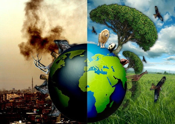Ô nhiễm môi trường gây ra tác động tiêu cực đến con người và sinh vật
