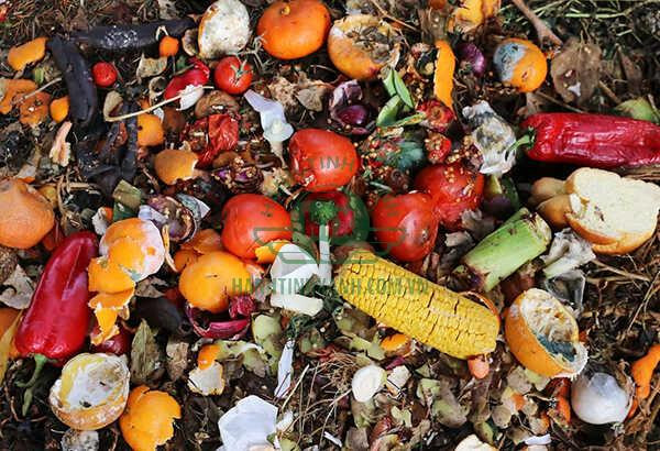 Phân loại rác thải hữu cơ là gì giúp quản lý và xử lý hiệu quả hơn