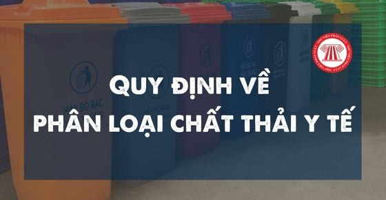 Phân loại rác y tế chuyên nghiệp với hệ thống thùng màu sắc khác nhau