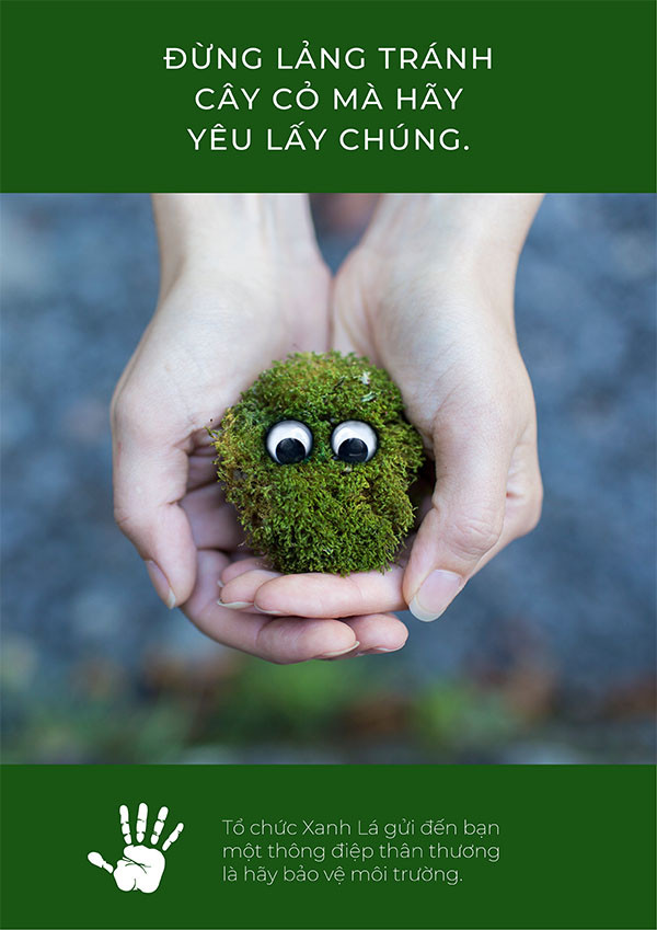 Poster bảo vệ môi trường kêu gọi trồng cây, thể hiện một mầm xanh đang vươn lên từ bàn tay con người, tượng trưng cho sự sống và phục hồi rừng
