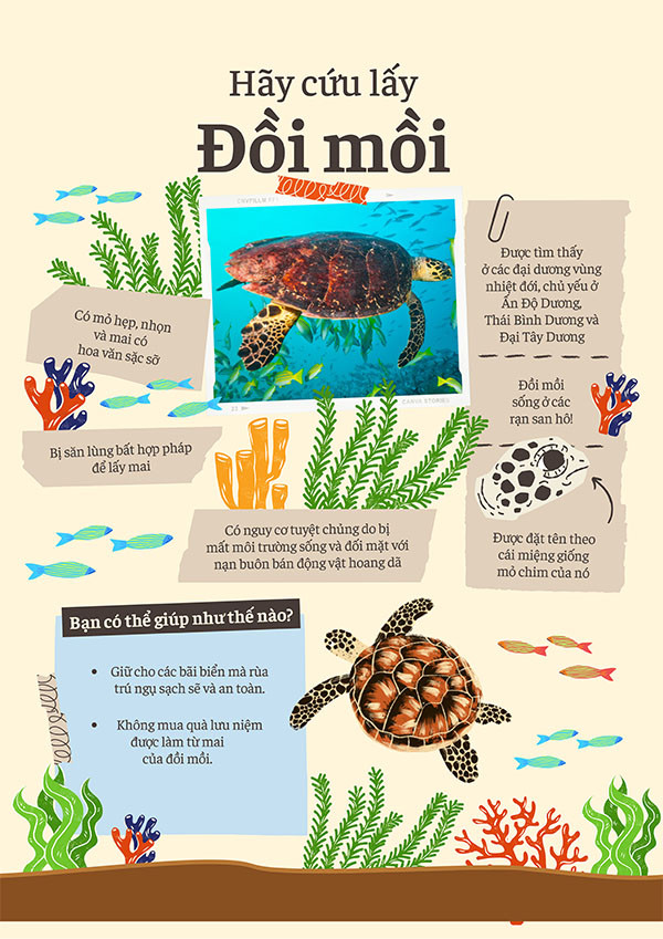 Poster tuyên truyền bảo vệ môi trường biển với hình ảnh chú rùa biển bơi giữa san hô, kêu gọi gìn giữ đa dạng sinh học đại dương