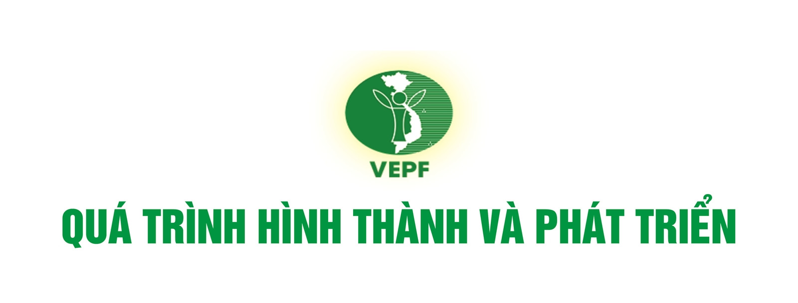 Quá trình phát triển và lớn mạnh của Quỹ Bảo vệ Môi trường Việt Nam qua các giai đoạn