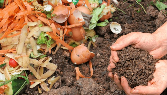 Quy trình cách ủ rác nhà bếp bằng thùng xốp đơn giản, tiết kiệm