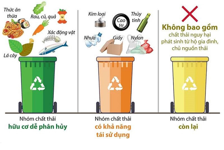 Quy trình phân loại rác thải sinh hoạt thành hữu cơ, tái chế và vô cơ