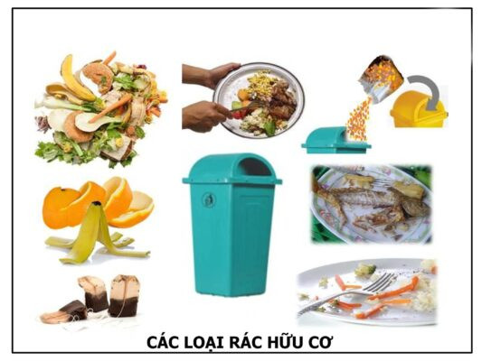 Rác hữu cơ dễ phân hủy từ thức ăn thừa và vỏ rau củ