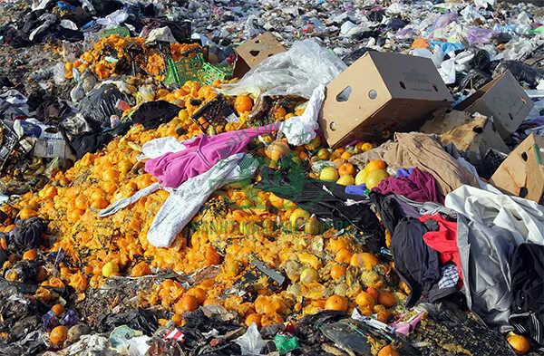 Rác thải hữu cơ thường xuyên bị vứt chung với rác thải khác ở Việt Nam, gây khó khăn cho việc phân loại và xử lý hiệu quả