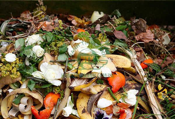 Rác thải sinh hoạt