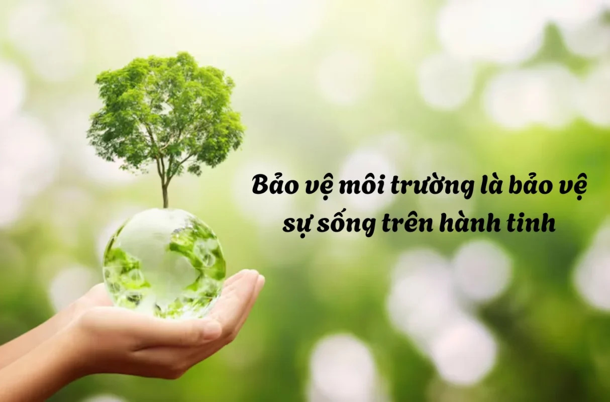 Slogan bảo vệ môi trường ngắn gọn, xúc tích, dễ nhớ và truyền cảm hứng