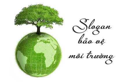 Slogan về bảo vệ môi trường truyền cảm hứng hành động xanh