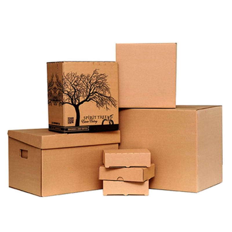 Tái chế hộp giày: Bao bì carton chất lượng