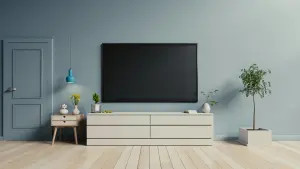 Tái chế thiết bị điện: Phòng khách với tivi, ví dụ về các loại rác thải điện tử và đồ gia dụng có thể tái chế