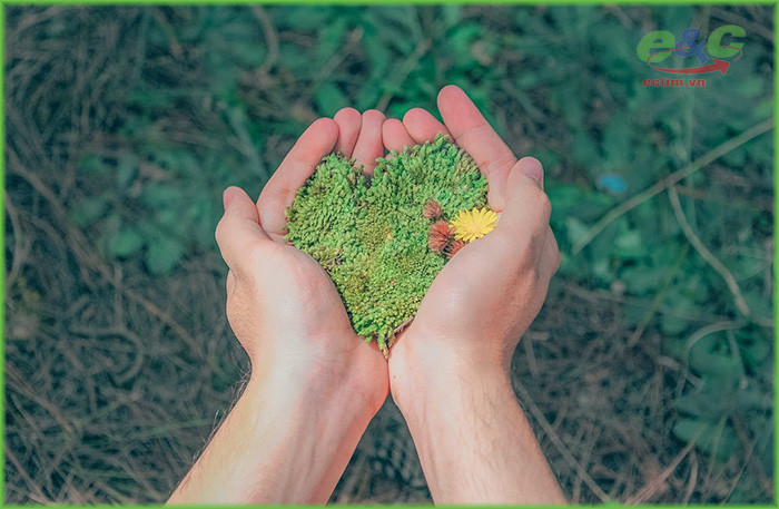 Tại sao phải bảo vệ môi trường để đảm bảo cuộc sống bền vững cho thế hệ tương lai