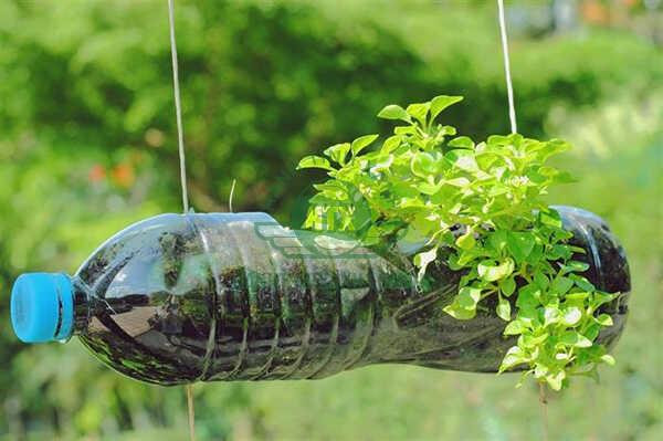 Tầm quan trọng của tái chế rác thải nhựa trong việc bảo vệ hệ sinh thái