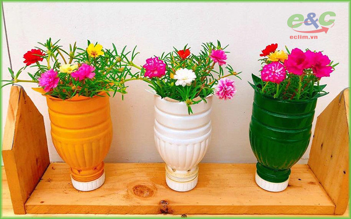 Tận dụng chai lọ nhựa làm thành bình hoa, góp phần giảm rác thải nhựa