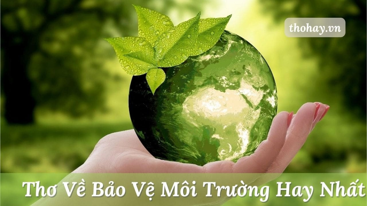 Thơ về bảo vệ môi trường hay nhất khơi gợi tình yêu thiên nhiên