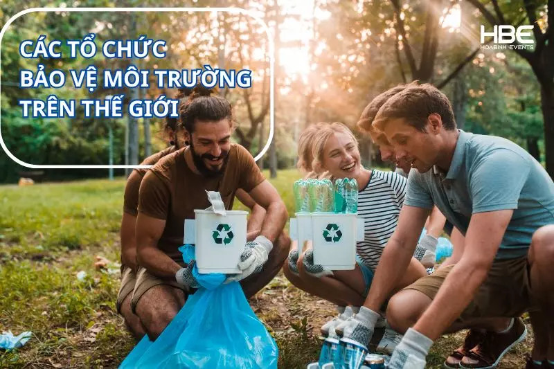 Tổ chức bảo vệ môi trường thế giới và vai trò hỗ trợ Việt Nam