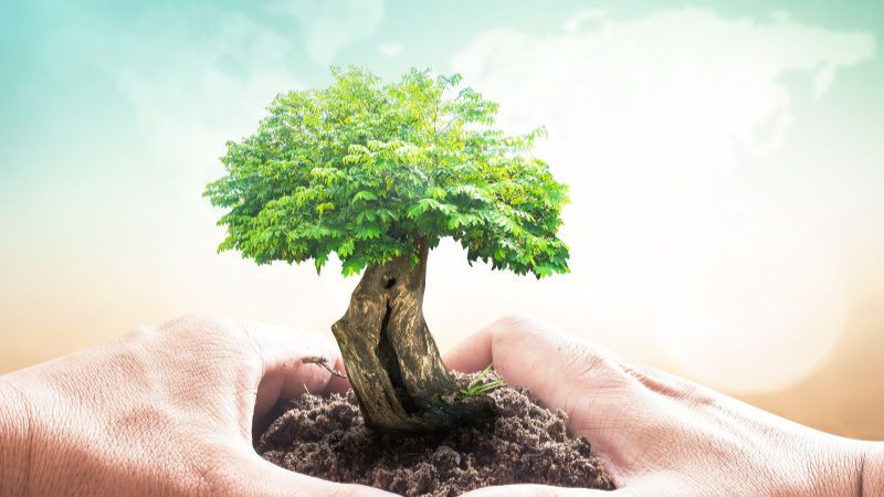 Trao đổi chai nhựa để tái chế, minh họa giải pháp giảm thiểu rác thải và bảo vệ môi trường.