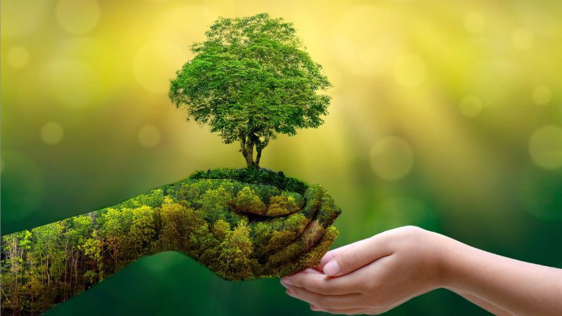 Trẻ em trồng cây góp phần phủ xanh rừng, lan tỏa những câu nói hay về bảo vệ môi trường từ thế hệ trẻ.