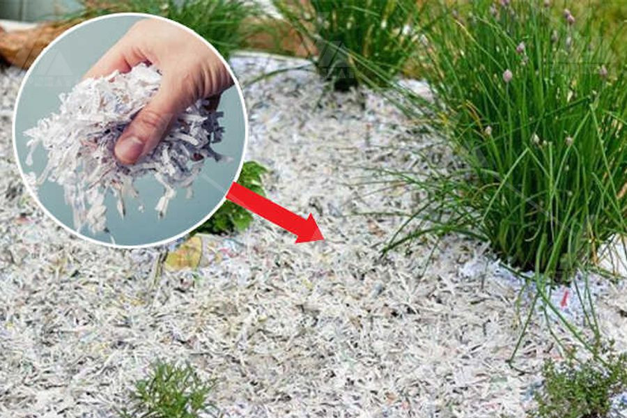 Trộn giấy với đất làm phân