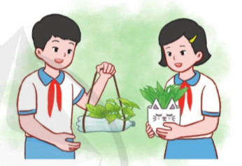 Trồng cây từ chai nhựa tái chế, hướng dẫn làm chậu cây đơn giản tại nhà