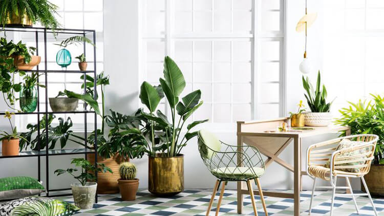 Trồng cây xanh là biện pháp bảo vệ môi trường không khí hiệu quả