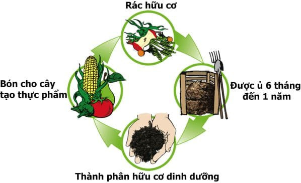 Ủ sinh học cho rác hữu cơ bổ trợ cho nỗ lực tái chế rác vô cơ, tạo hệ sinh thái xử lý toàn diện