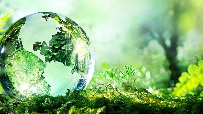 Văn bản hợp nhất luật bảo vệ môi trường mới nhất và các quy định hướng dẫn chi tiết