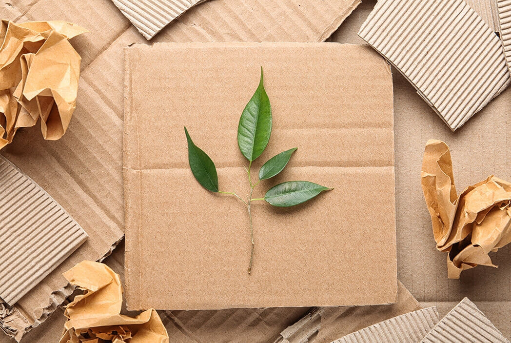 Xu hướng sử dụng bao bì xanh trở thành xu hướng toàn cầu